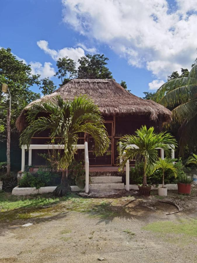 Paradise Ranch Cozumel Buitenkant foto